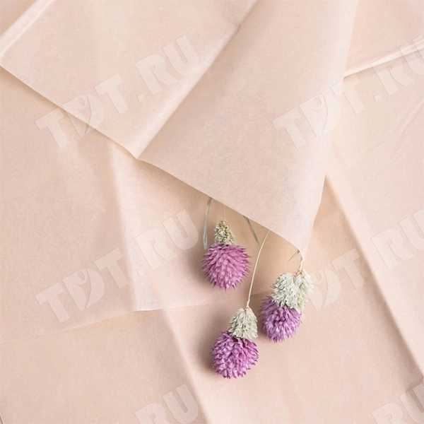 Бумага тишью упаковочная, натуральная, 50*66 см, 20 г/м², 10 листов