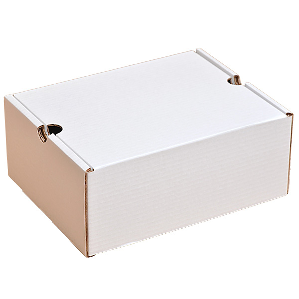 Беленая коробка для обуви №77, 300*240*130 мм Беленая коробка для обуви №77, 300*240*130 мм