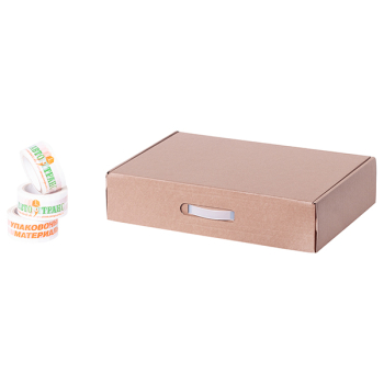 Бизнес Бокс А3, 435*310*100 мм Бизнес Бокс А3, 435*310*100 мм