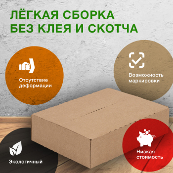 Книжный лоток №5, 310*225*75 мм, Т-23 В