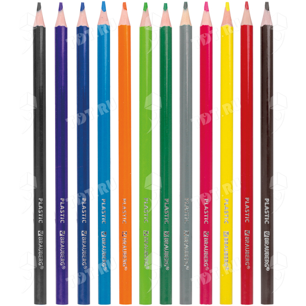 Карандаши цветные BRAUBERG Premium, пластиковые, 12 цветов