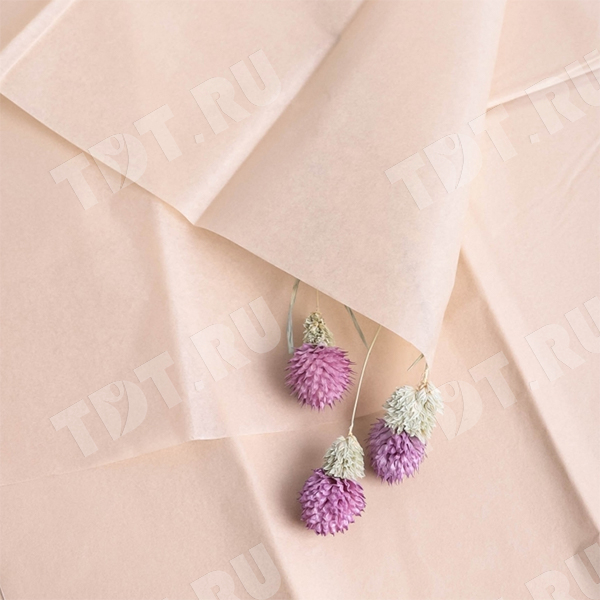 Бумага тишью упаковочная, натуральная, 50*66 см, 20 г/м², 10 листов