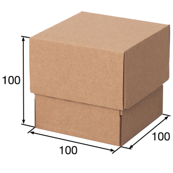 Коробка крышка-дно «Кубик», 100*100*100 мм